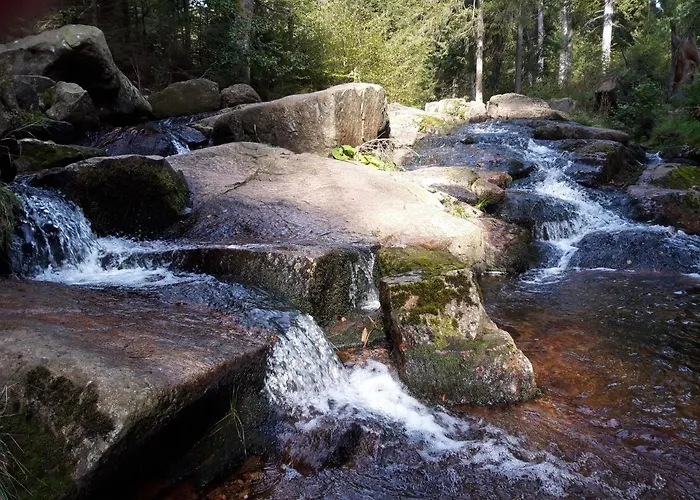 Am Riesenberg * Ellrich