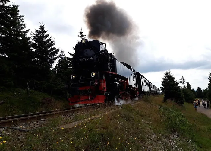 بيت للعطل Am Riesenberg *